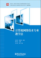計算機網絡技術專業教學法 計算機技術開發的雙色路徑